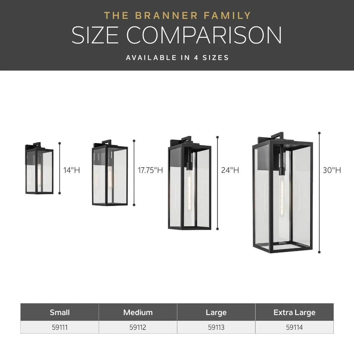 Branner 14 In 1-Light Outdoor Wall Light with Clear Glass, Black Finish