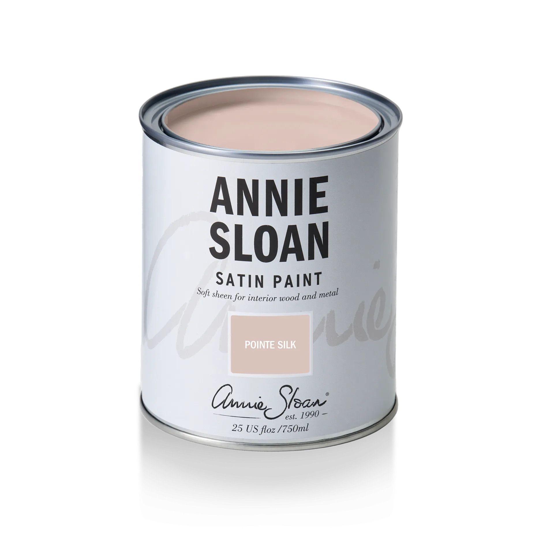 Pointe Silk Satin Paint