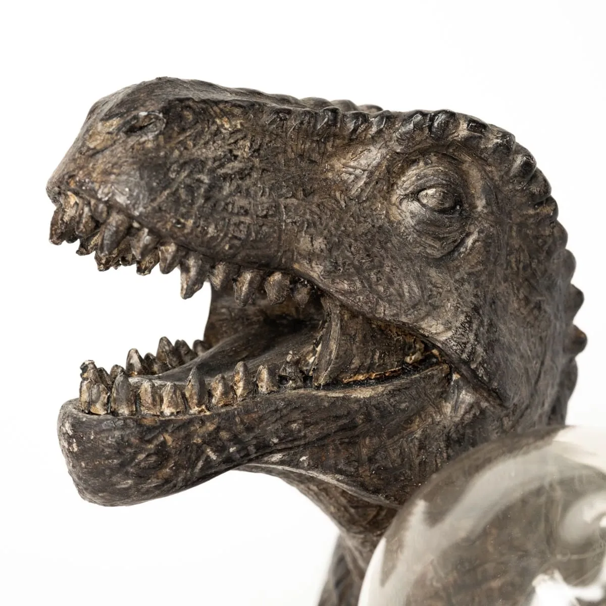 Raptor Table Lamp Dark Tone Resin