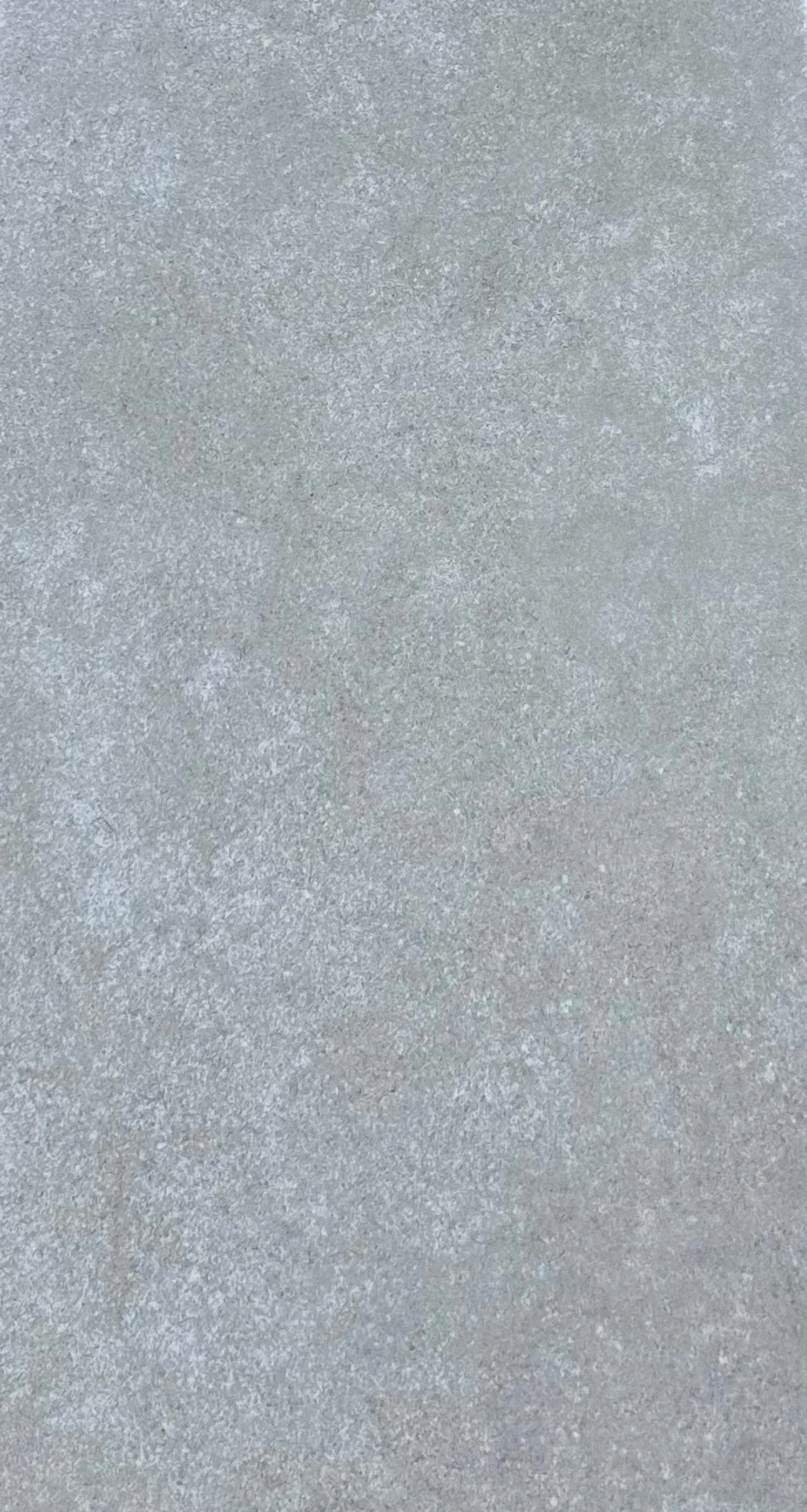Sierra Hemlock Elegant Gray